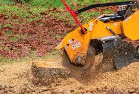 Best Storm Damage Tree Cleanup  in South Bend, WA